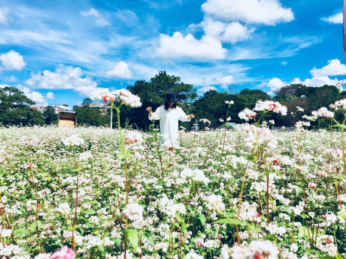 The Kupid Hill Homestay Dalat Luaran gambar
